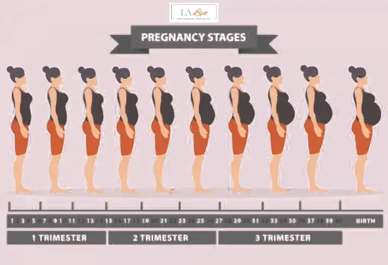 First Trimester (Weeks 1–12): Early Changes You Might Not Notice Temple Mills